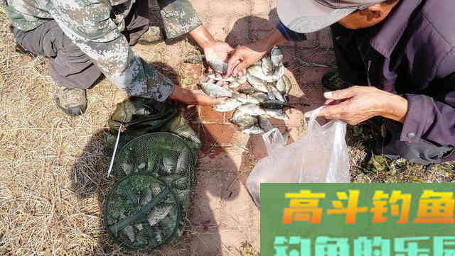 你比大爷钓鱼差的可能并不是钓技钓法