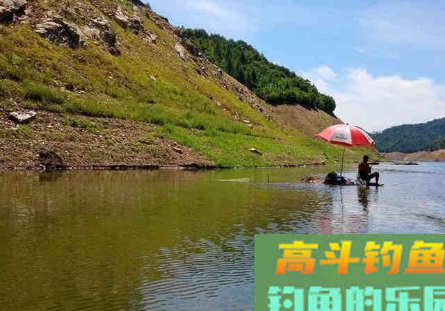 钓友醉酒分享自用窝料配方，看完此文窝料不用买了