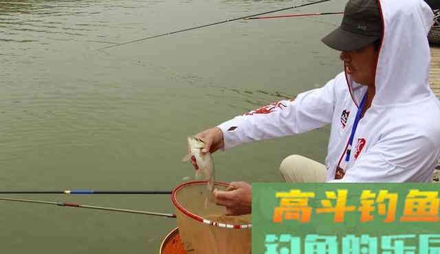 饵料的状态你掌握了吗？学会了每次钓鱼事半功倍