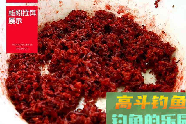 新手才会用蚯蚓钓鱼？蚯蚓新玩法反击，让你高攀不起