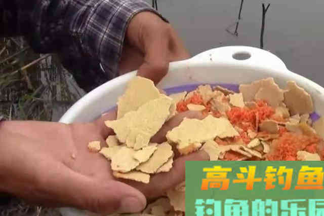 水下有鱼却不吃钩？老钓鱼人跟你解释解释