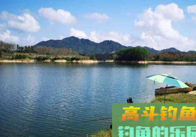 鱼吃得比人都好，为何还是钓不到鱼