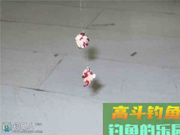 冬季垂钓的果冻红虫拉饵配方制作方法
