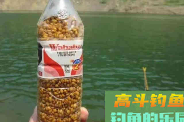 自从换用这自制饵，热天钓鲫连杆