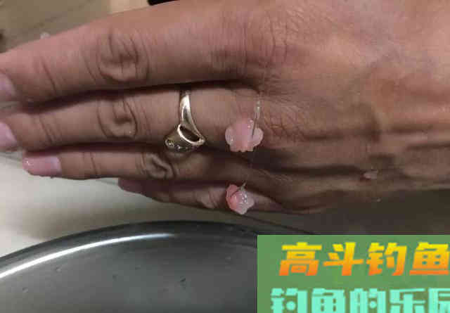野钓可以用虾饵吗？能用但没人用
