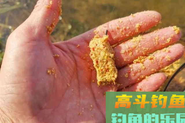 冬天诱鱼太慢，恰巧我有4个打窝诀窍