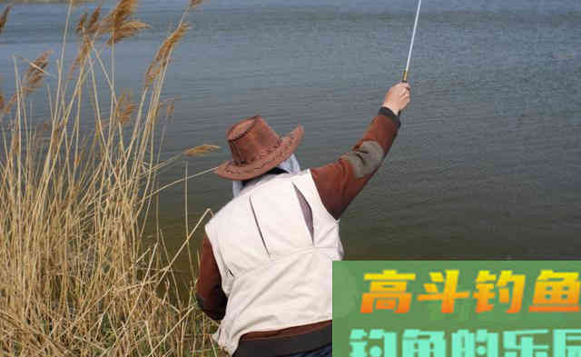 现在记住这七点，钓鱼时让你鱼获翻倍