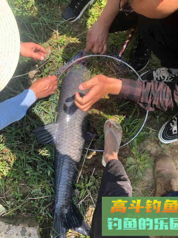 钓鱼不要跟风，大多没啥用，资源是学不来的