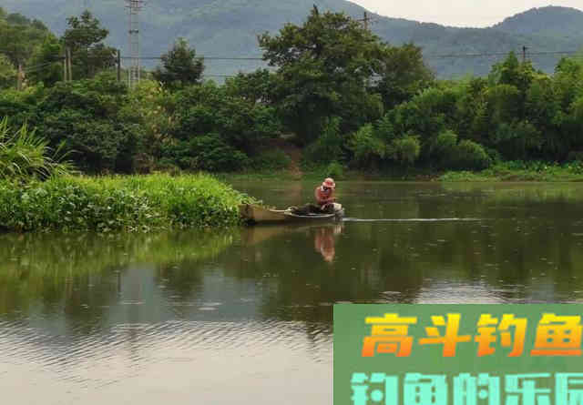 电过的地方，短时间作钓，只有2种对策方可一试