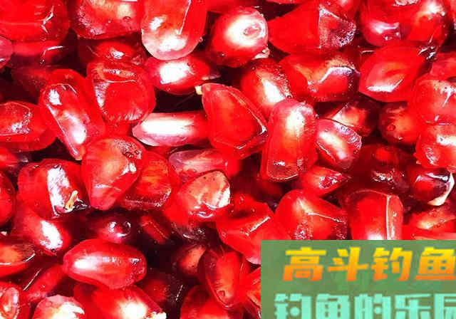 突发奇想，用水果做窝料，半日渔获11斤，适合高温天使用