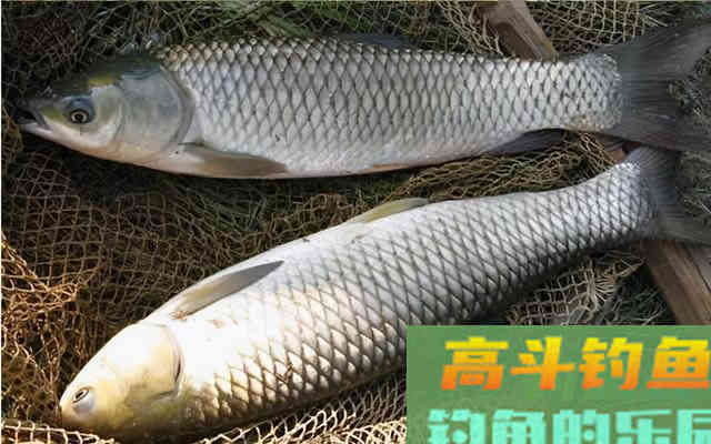 只要能解决这两点，打行程，一点都不难