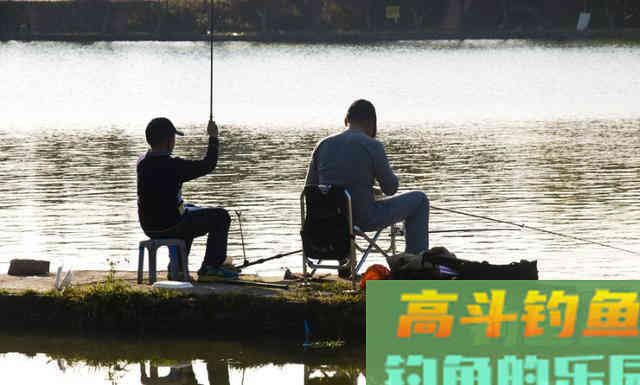 钓不到鱼，或许不是你的饵料、钓技不行
