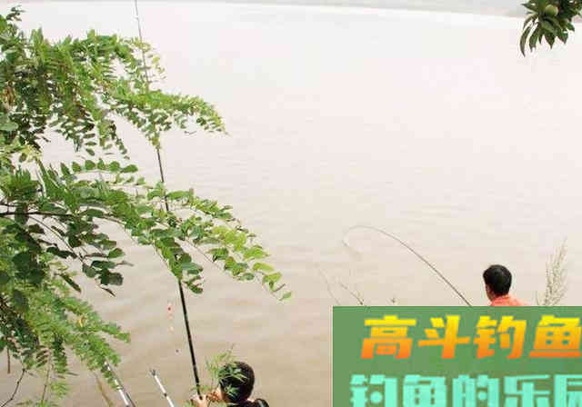 钓友突发奇想，用3000一斤的“臭丸虫”钓鱼
