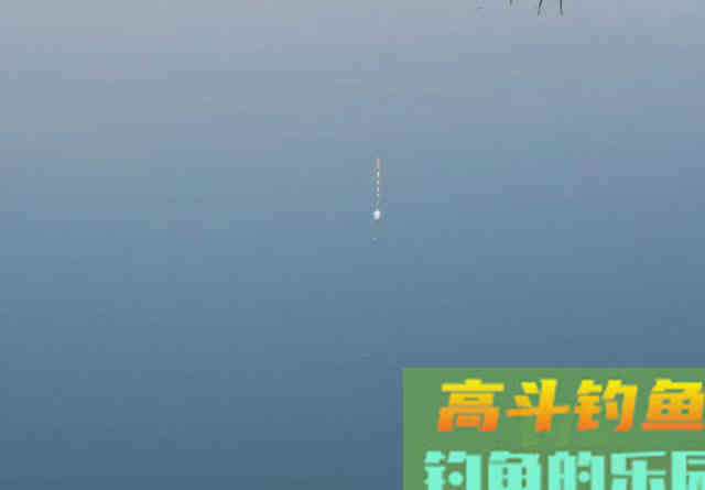 大顿口能中鱼？想要提高命中率，看这些信号提竿准没错