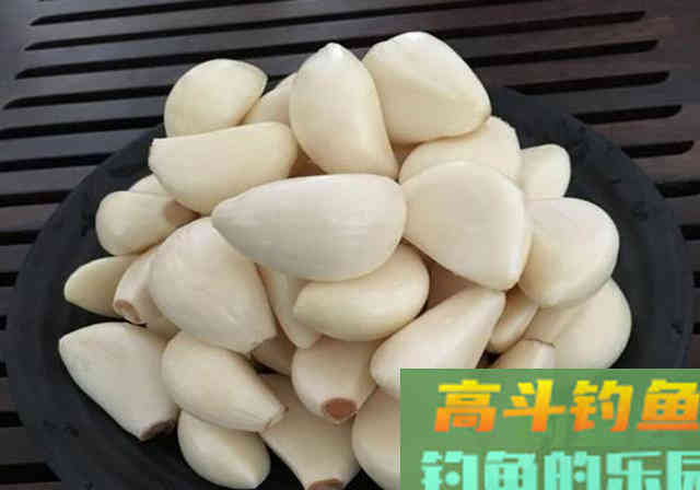 生活中的这些食物，不仅可以吃，也可以拿来做饵料添加剂