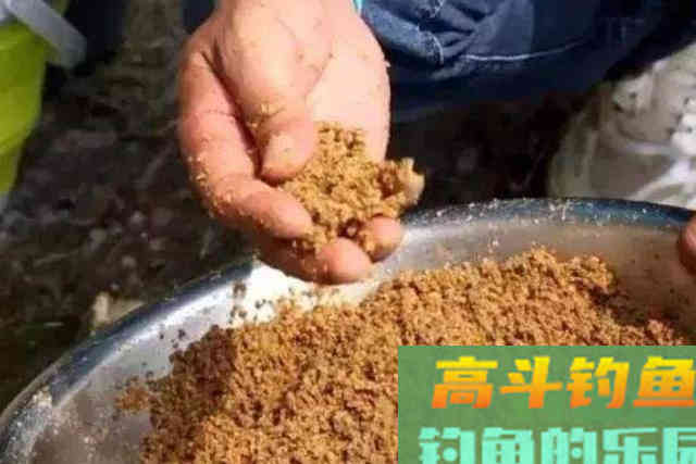 刚补完窝就没口，二十年老钓手倾囊相助