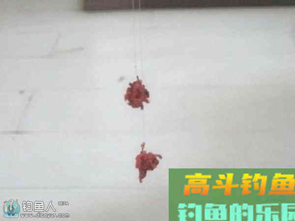 冬季垂钓的果冻红虫拉饵配方制作方法