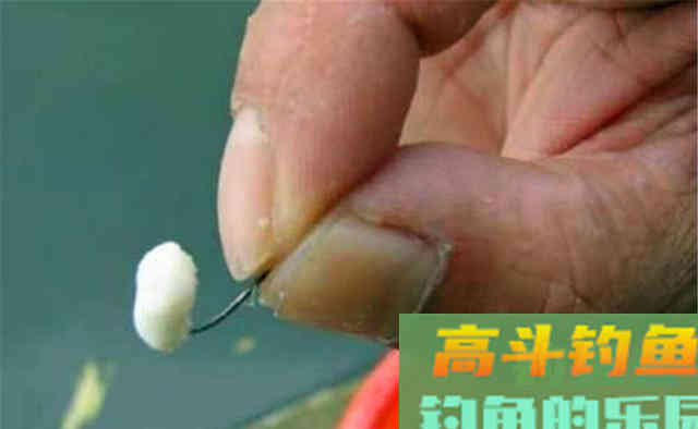 进入晚秋，鲫鱼开始贴秋膘，用这些饵料配方