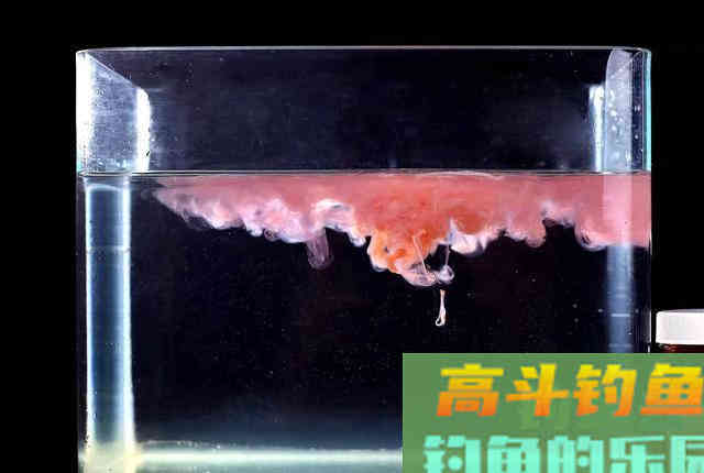 味型一样的钓鱼小药，为何价格相差10倍