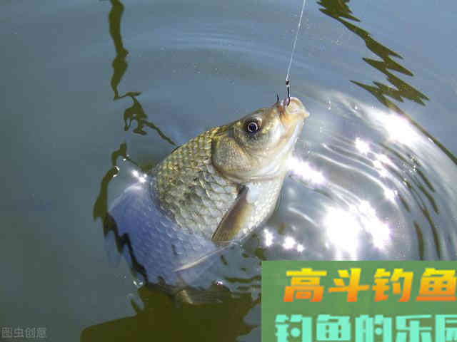 钓鱼时间少的钓友看过来吧！做好这3点，一样可以钓得爽