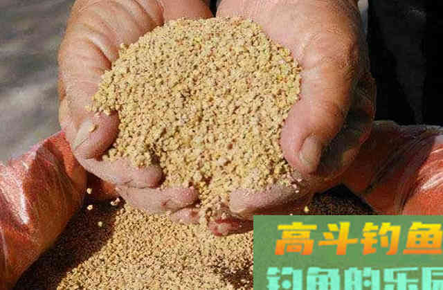 小鸡饲料这么用，既能避开小鱼闹窝，鲤鱼给口接二连三