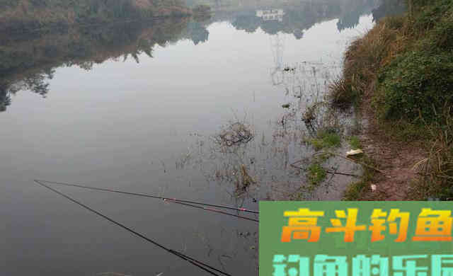 吃透这几句话，野钓时的渔获至少能多上三五条