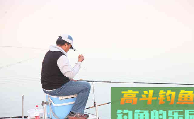 又要得罪人了！钓鱼中铅坠才是爆护密码