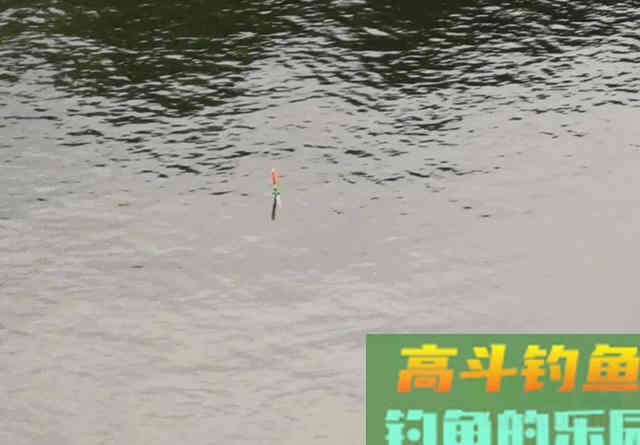 大风大浪看不清浮漂怎么办？这个办法很好用