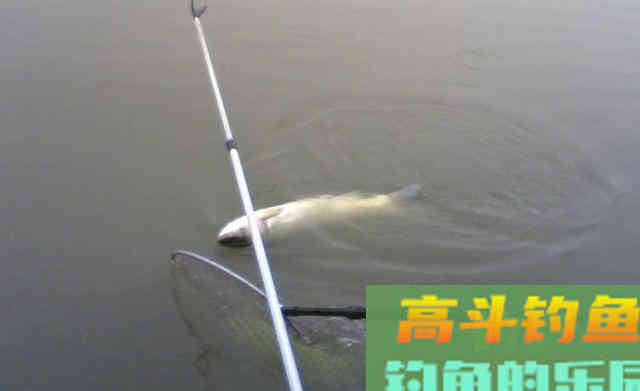 防坑指南，钓鱼新手常犯的几个错误
