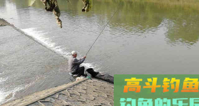 你比大爷钓鱼差的可能并不是钓技钓法