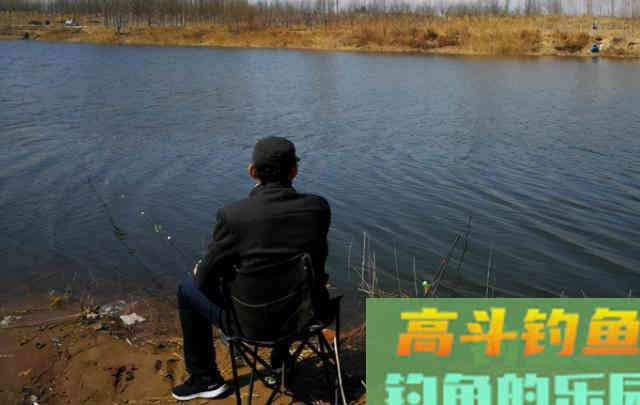 窝里明明有鱼，怎么就是钓不上来？