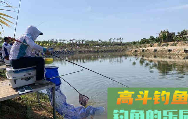 浮漂上顶，提竿却没有鱼，问题出在这里