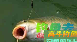 钓鱼线组不重要？老钓鱼人实际垂钓告诉你