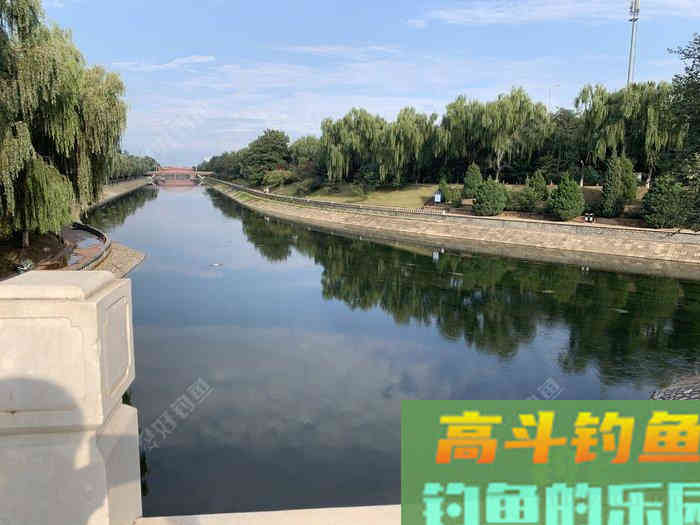 自制饵料良方，省您钱粮，照此施为，人安鱼康