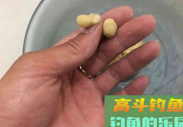 红薯做钓饵这样加工一下，不仅能钓到鲤鱼，还能兼顾大鲫鱼