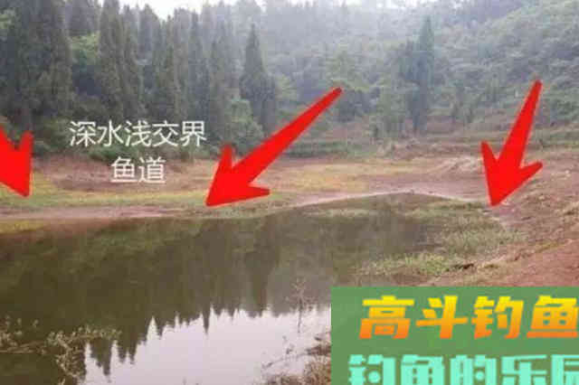 冬钓上鱼不够快？那是你没按套路出牌