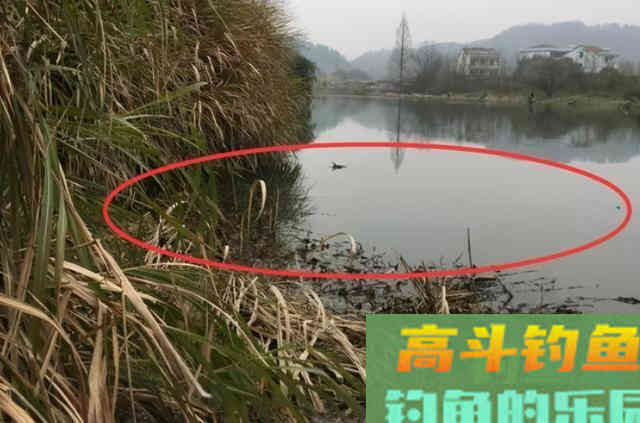 遇到走水就不想钓了？实话告诉你，一般人休想知道