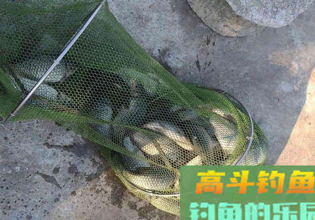饵料厂离职员工，酒后吐露商品窝料配方