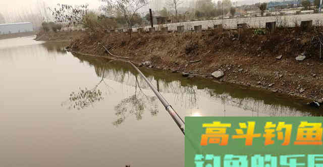 窝料不诱鱼，90％不是窝料不管用，而是打窝有问题