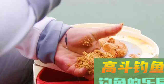 钓了多年的鱼，才知道冬钓要这么打窝