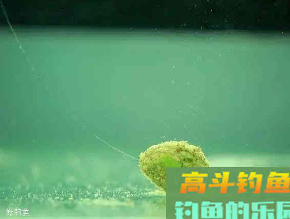 钓鱼饵料选进口饵还是国产饵，2者有何不同？