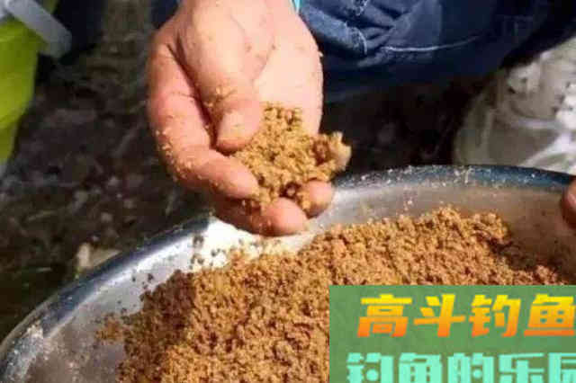 钓了三十年鱼这诱鱼“八字诀”简单又实用