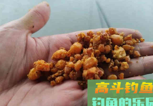 自制老坛玉米钓鲤鱼，效果不比买的差
