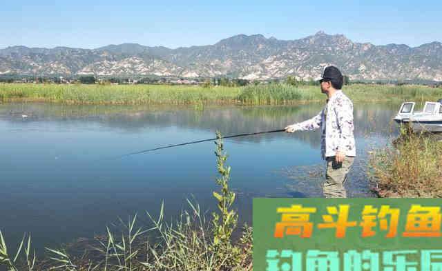 水中有鱼，就是不咬钩，这该怎么破