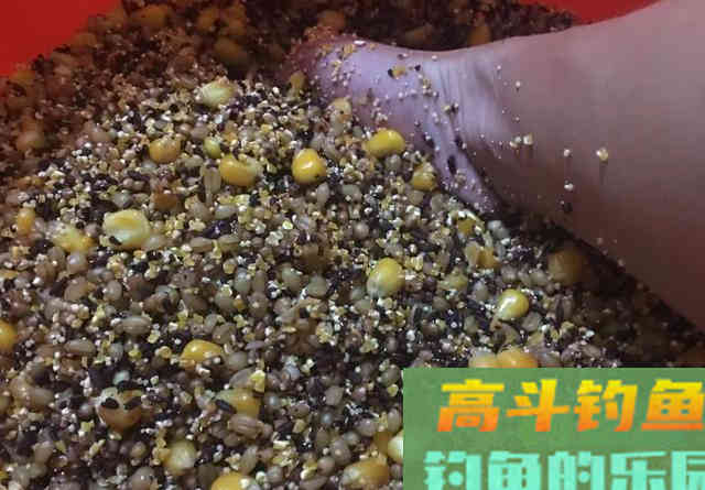 立秋过后如何钓大鱼？打重窝前要三思