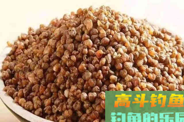 大板鲫钓了三十多年，唯独这饵最管用