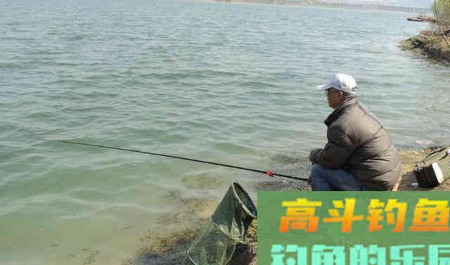 为什么浮漂有信号，提竿却没有鱼