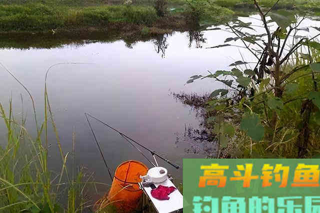 别人上鱼你不上鱼，埋怨根本没用