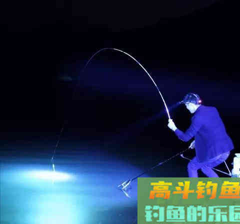 是什么决定了钓鱼隐藏定律
