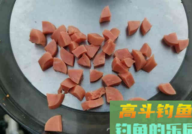 钓鱼最害人的5句话，看似很有道理，其实是钓技差的表现